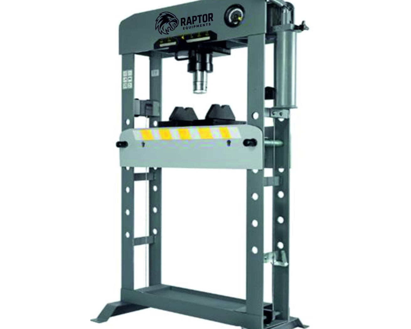 RPT50
